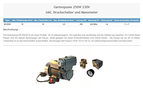Wasserpumpe 250W 35 l/min inkl. Druckschalter Gartenpumpe Hauswasserwerk Kreiselpumpe - 2