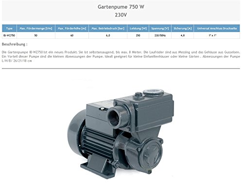 Wasserpumpe 750W 50 l/min inkl. 100 L Druckkessel Druckschalter Gartenpumpe Hauswasserwerk Kreiselpumpe - 2