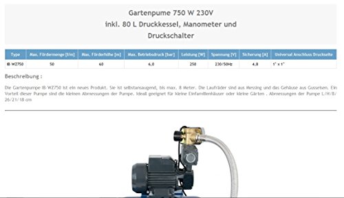 Wasserpumpe 750W 50 l/min inkl. 80 L Druckschalter Gartenpumpe Hauswasserwerk Kreiselpumpe - 2