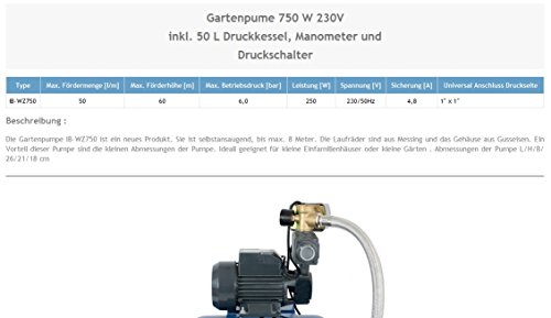 Wasserpumpe 750W 50 l/min inkl. 50 L Druckschalter Gartenpumpe Hauswasserwerk Kreiselpumpe - 2