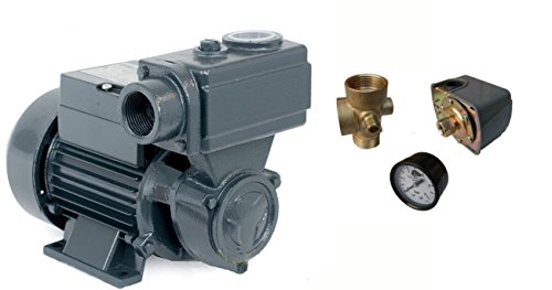 Wasserpumpe 750W 50 l/min inkl. 50 L Druckschalter Gartenpumpe Hauswasserwerk Kreiselpumpe - 3