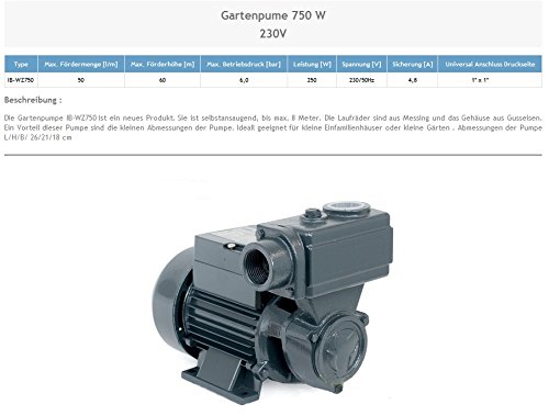 Wasserpumpe 750W 50 l/min Gartenpumpe Hauswasserwerk Kreiselpumpe - 2