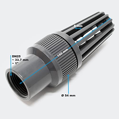 Fußventil 25 mm 1 Zoll mit Rückschlagventil und Kunststoffsaugkorb - 2