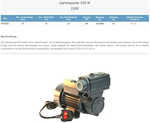 Wasserpumpe 250W 35 l/min Gartenpumpe Hauswasserwerk Kreiselpumpe - 2