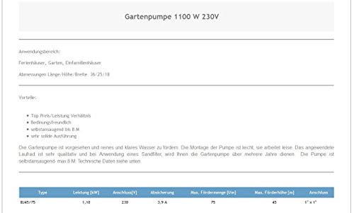 Wasserpumpe 4500 L/Std 1,10 kW 230V Jetpumpe Gartenpumpe Hauswasserwerk - 3