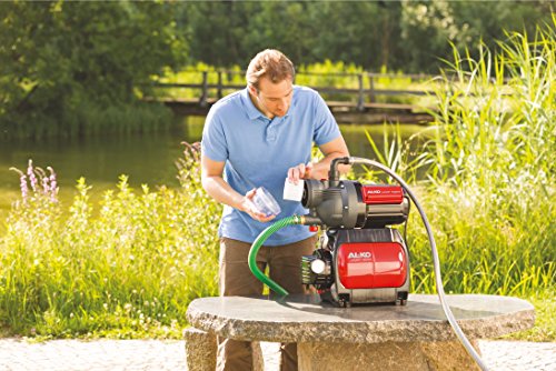 AL-KO HWF 1004 Hauswasserwerk, 113121 - 2