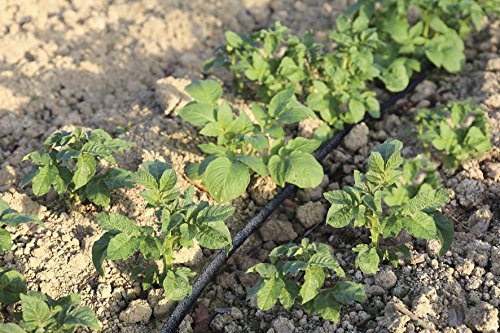 Greengeers 91003 Poröser Tropfschlauch mit Verbindungsstück, automatisch - 2