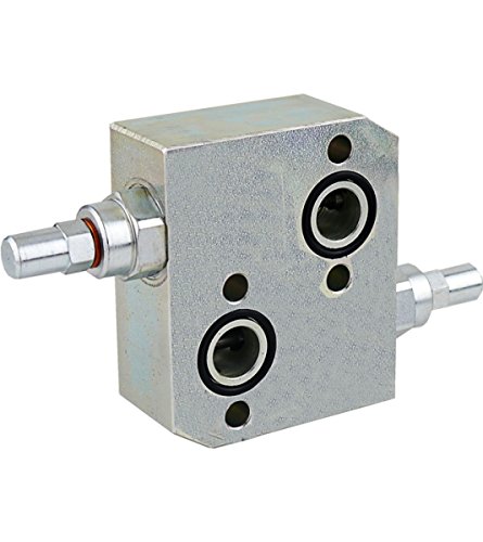 Hydraulikventil, Druckbegrenzungsventil DBV, Schockventil für CPM und CPRM Hydraulikmotor - 2