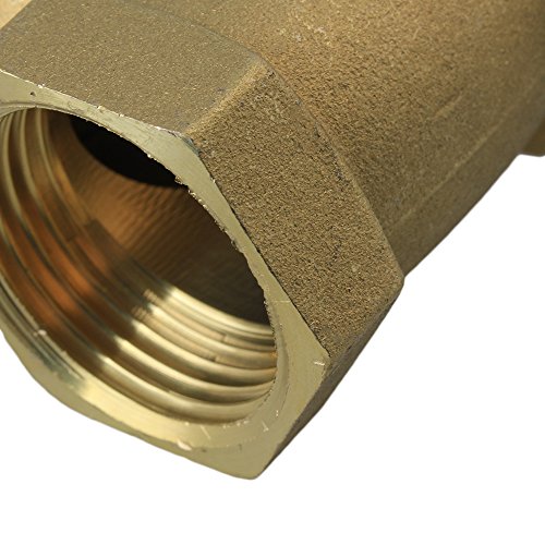 BQLZR Golden 1″ Innengewinde BSPP Gewinde Rückschlagklappe Hochdruck - 4