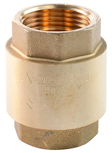 amicoidraulico 480050 Rückschlagventil, Messing Gelb, Durchmesser Gewinde 2 "