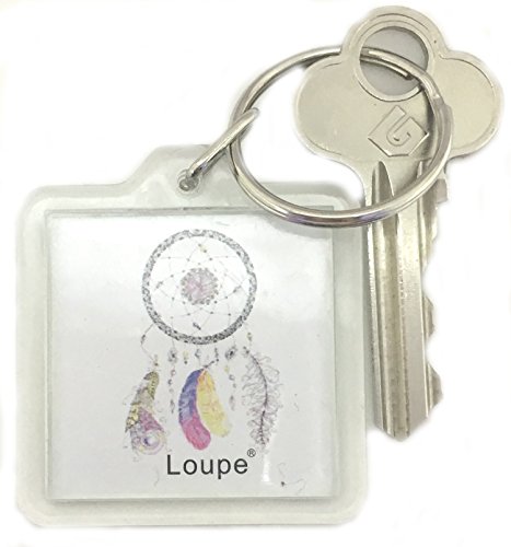 für Huawei P9 Lite Hülle Brieftasche Schutzhülle, Malerei PU Lederhülle Flip Hülle im Bookstyle Cover Schale Stand Ständer Etui Karten Slot Schutzhülle Tasche Wallet Case für Huawei P9 Lite +Schlüsselanhänger (W) - 7