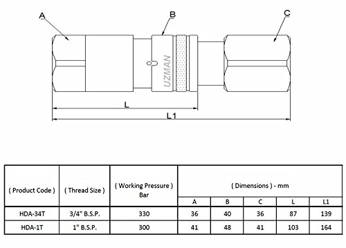 Hydraulik Steckkupplung und Muffe Flachdichtend 1″ IG BSP Hydraulikkupplung Hydraulik Stecker Kupplung - 2